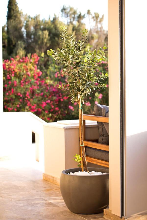 Horizon Hotel Kalymnos Myrties Exterior photo